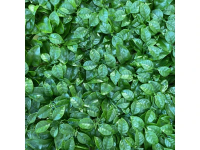 گرین وال 